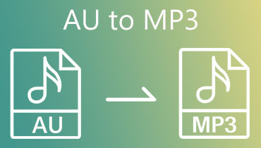 【Windows＆Mac対応】AUをMP3に変換する方法