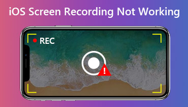iOS 17/16/15/14の画面録画が機能しない問題を修正する方法