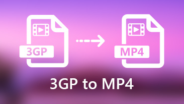 3GP を MP4 に変換