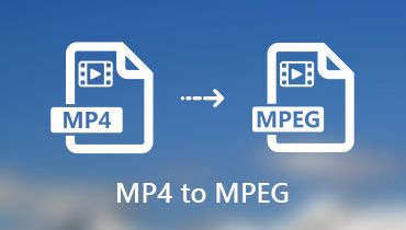 MP4 を MPEG に変換