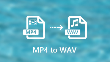 MP4 を WAV に変換
