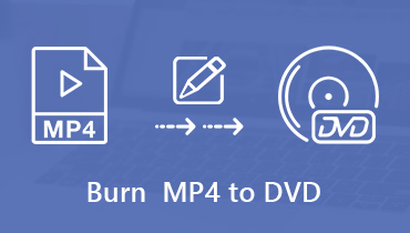 MP4 を DVD に書き込む
