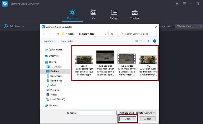 Vidmore VC MP4 ファイルをインポート
