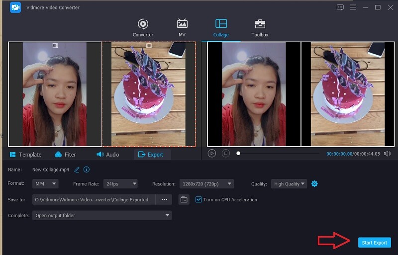 Vidmore 動画保存jpg