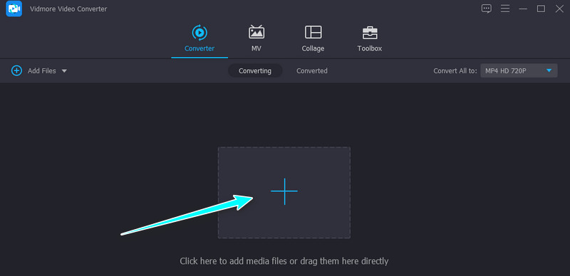 Vidmore FLAC音声を読み込み
