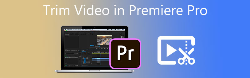 Premiere Pro で動画をトリミング