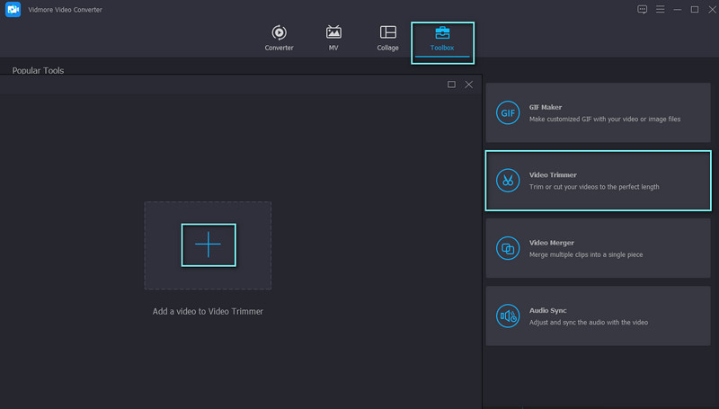 Vidmore TikTok動画追加