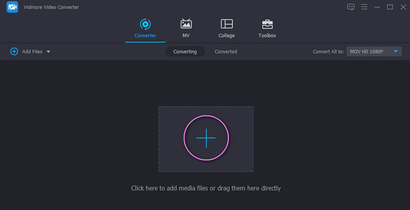VidmoreでMTSを読み込み