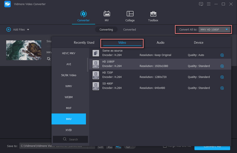 Vidmore 形式選択画面