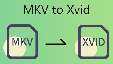 MKVをXVIDに変換