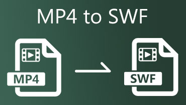 MP4 から SWF へ変換