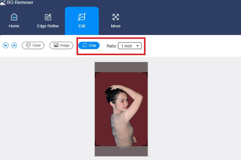 Vidmore Background Remover でクロップとカラー設定