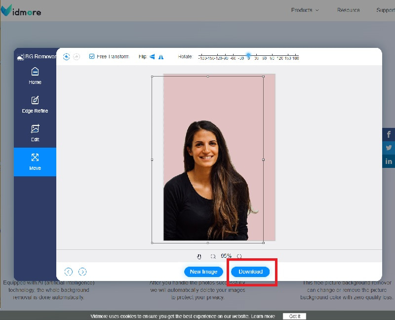 Vidmore 画像をダウンロード