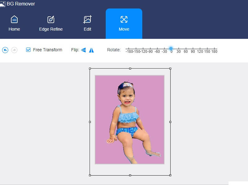 Vidmore Background Remover 反転