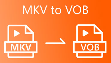 MKVをVOBに変換