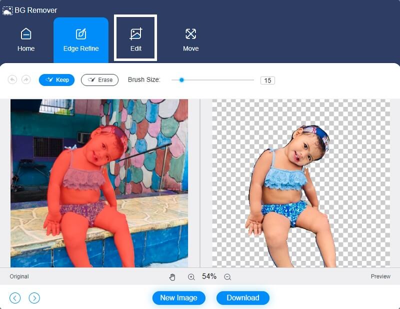 Vidmore Background Remover で写真をプレビュー