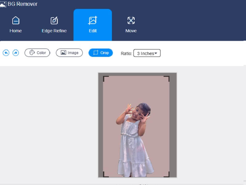 サイズ変更　Vidmore Background Remover