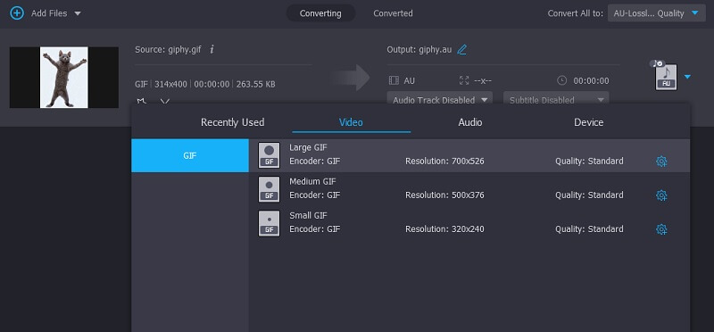 GIFを選択 Vidmore