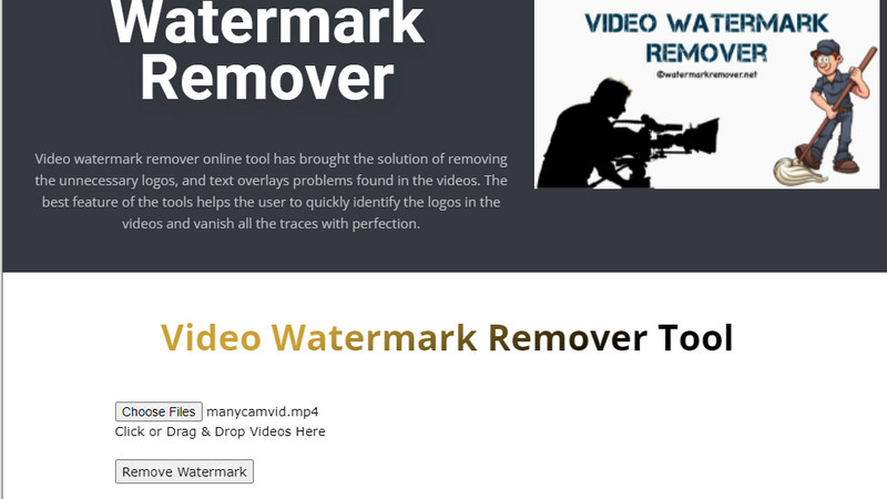 RemoveWatermarkインターフェース