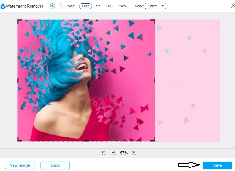 画像を保存 Vidmore