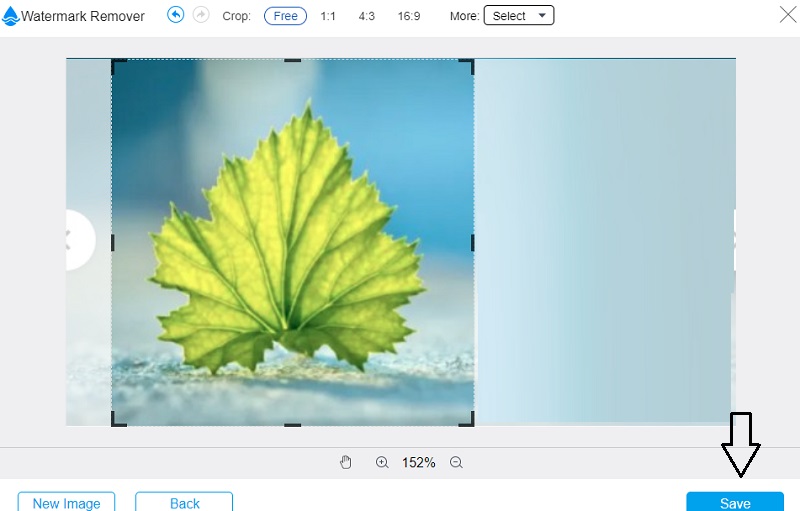Save Image（画像を保存）