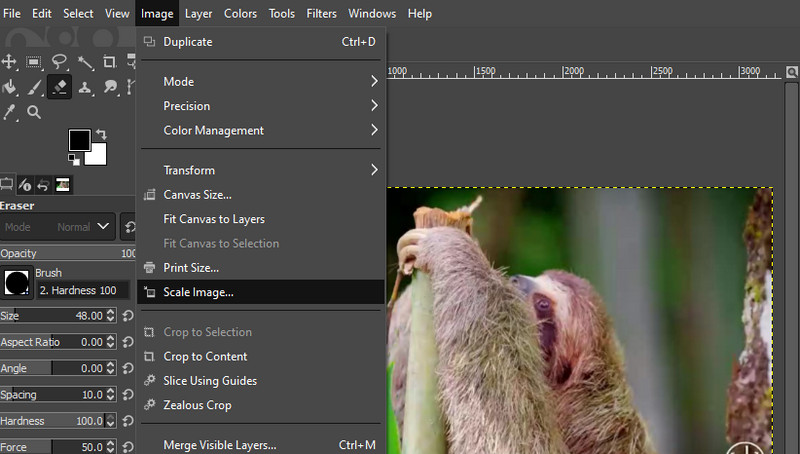 画像オプションを開く