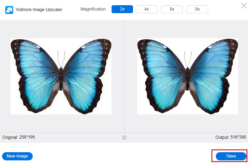Save the Image Vidmore（画像を保存 Vidmore）