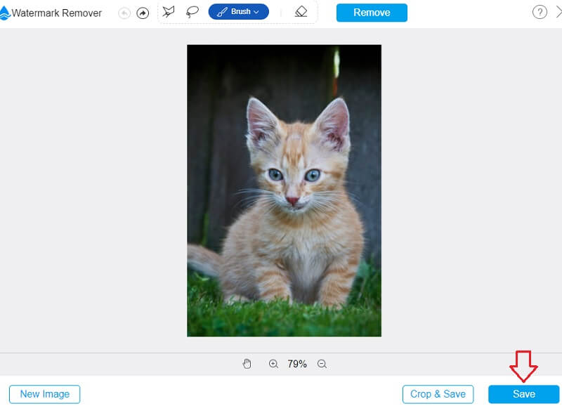 Export Image Vidmore（画像を書き出し Vidmore）