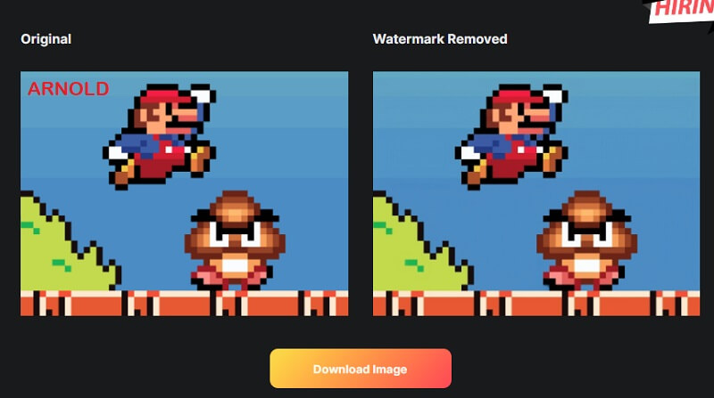 Remove Watermark Watermark IO