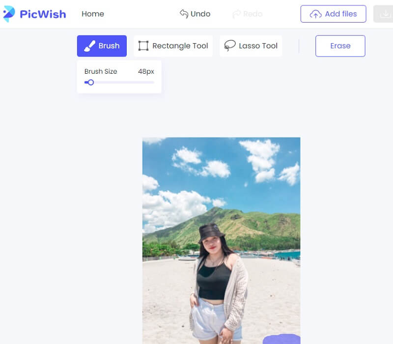 Remove Watermark Picwish（PicWishでウォーターマークを削除）