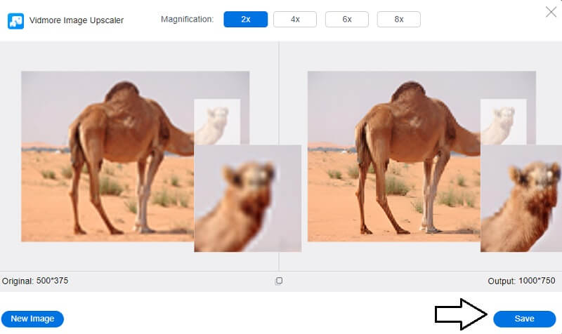 Save Images on Vidmore（Vidmore で画像を保存）