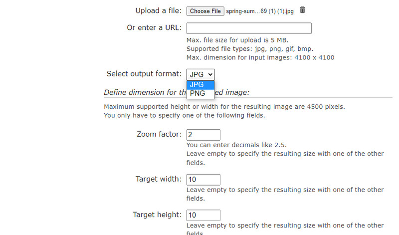 Image Enlarger インターフェース