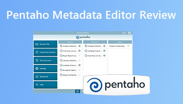 Pentaho Metadata Editorのレビュー