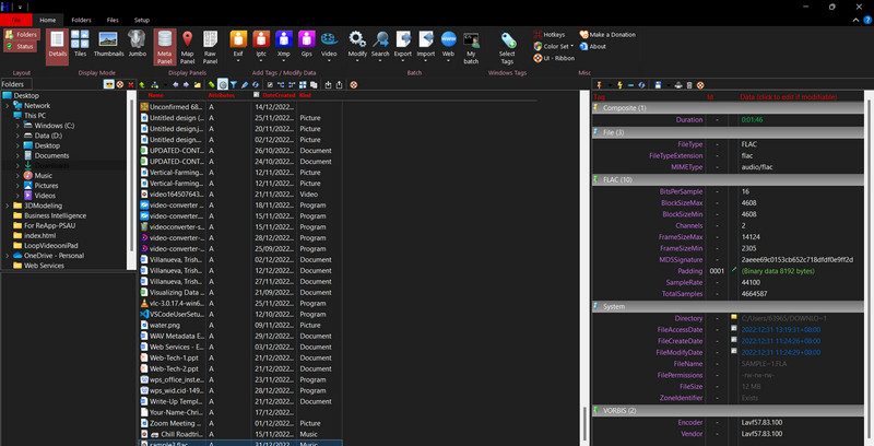 Metadata Plus インターフェース
