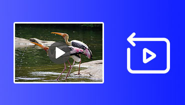 動画を逆再生する方法