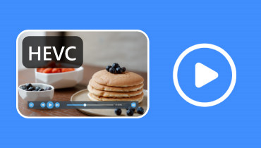 HEVC 動画プレーヤー レビュー