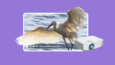 3Dプロジェクター