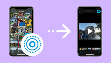 Live Photosを動画にする