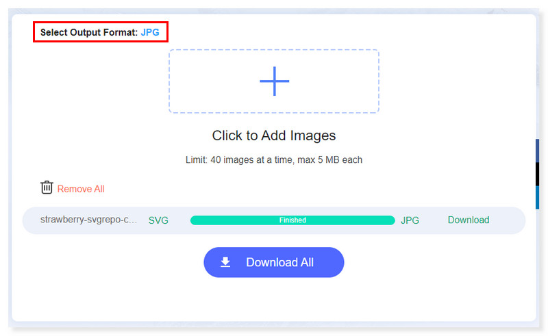 Vidmore で出力形式を選択