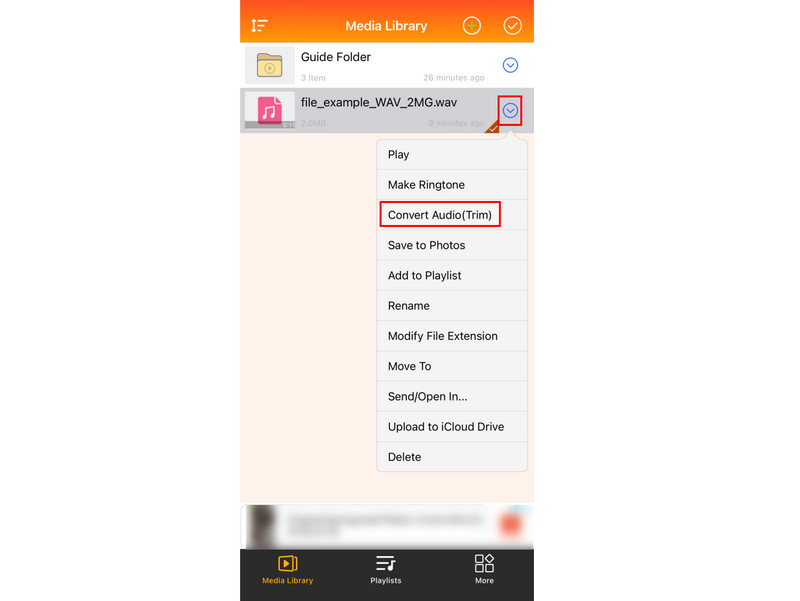 オーディオ変換・トリムオプション