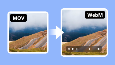 MOV を WebM に変換