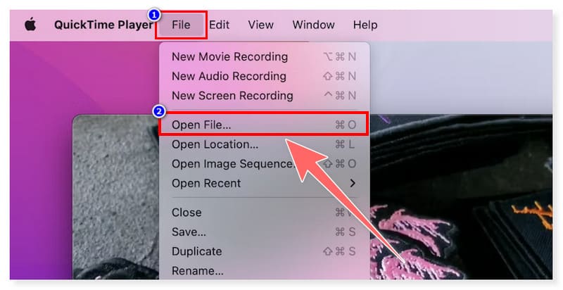 Quicktime GIF から MOV 変換ソフト
