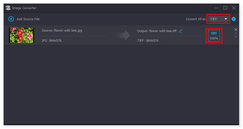 Vidmore TIFF画像コンバーター