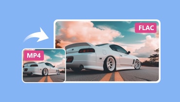 MP4 から FLAC への変換