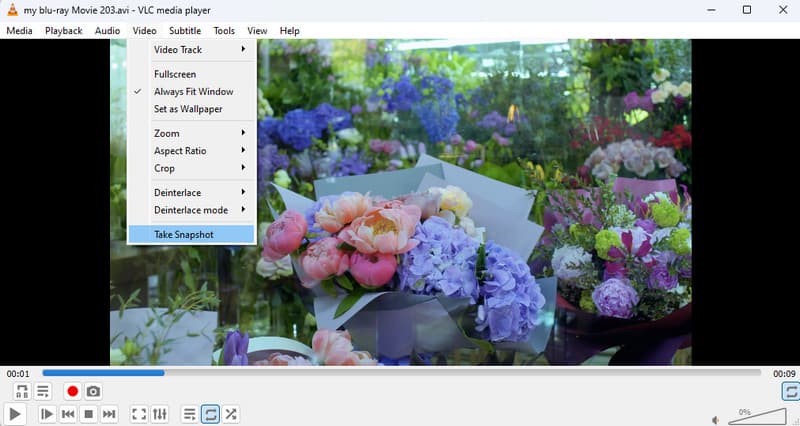 AVI GIF VLC スナップショットを撮る