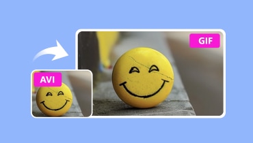 AVI から GIF へ変換