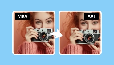 MKV から AVI へ変換