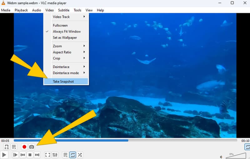 WEBM PNG 変換 VLC キャプチャ