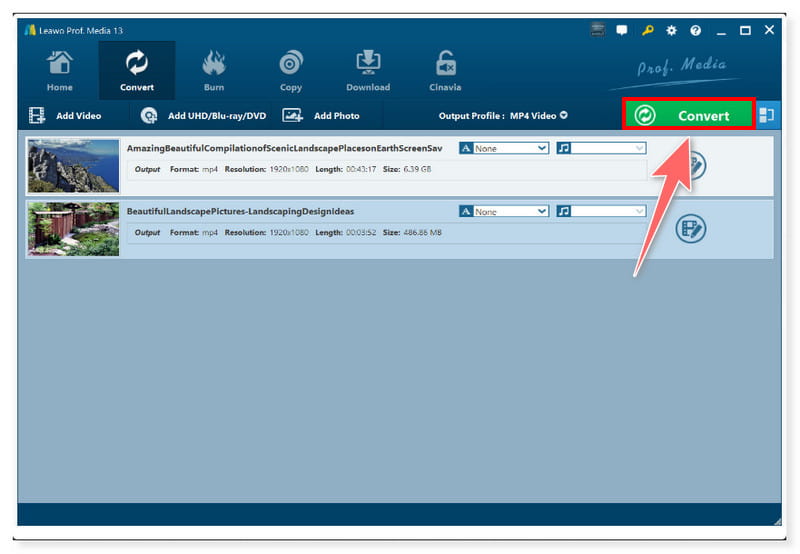 Leawo Video Converter Prism 代替