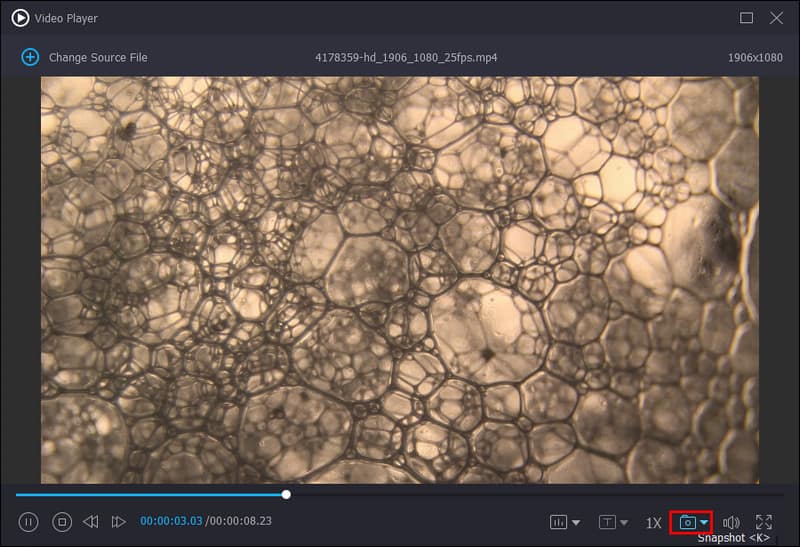 スナップショットボタン